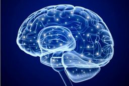 چگونه مغزمان را جوان نگه داریم؟