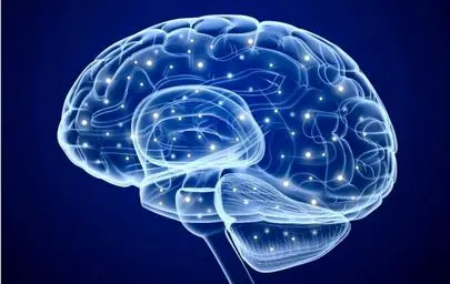 چگونه مغزمان را جوان نگه داریم؟