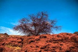 جزیره اسرارآمیزی در ایران که خاکش قابل خوردن است