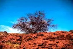 جزیره اسرارآمیزی در ایران که خاکش قابل خوردن است
