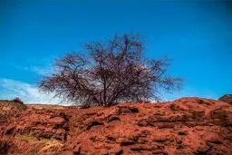جزیره اسرارآمیزی در ایران که خاکش قابل خوردن است