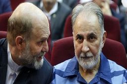 ابهامات پرونده «نجفی» باید توسط یک تیم کارآگاهی برطرف می شد