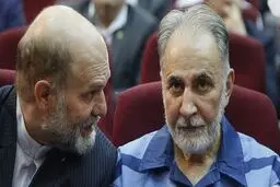 ابهامات پرونده «نجفی» باید توسط یک تیم کارآگاهی برطرف می شد