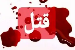 روابط نامشروع، عامل قتل استاد دانشگاه ۵۰ ساله