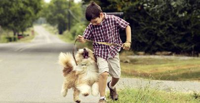 لاکچریزم نوین با پُز حیوان خانگی