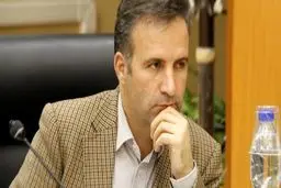 سخنگوی کمیسیون اصل ۹۰: بازداشت دو نماینده در ارتباط با خودرو دو ماه پیش مطرح بود