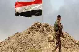 پرنده‌های مشکوک در عراق