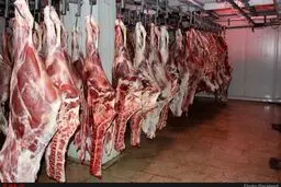 گوش بری دلالان در بازار گوشت