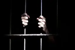 سلبریتی‌هایی که سر از زندان درآوردند + تصاویر