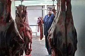 گوشت ارزانی که فقط در سازمان حمایت پیدا می‌شود + تصاویر