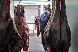 گوشت ارزانی که فقط در سازمان حمایت پیدا می‌شود + تصاویر