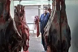 گوشت ارزانی که فقط در سازمان حمایت پیدا می‌شود + تصاویر
