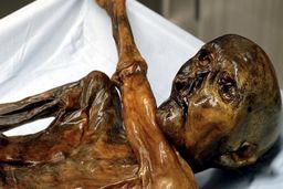 قدیمی‌ترین تتوی تاریخ متعلق به کیست؟! + عکس