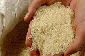 برنج ایرانی گران شد/ قیمت انواع برنج در بازار