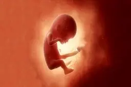 (۱۶+) روایت تکان‌دهنده زنی که در دوران عقد، حامله شد