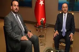 چاووش اوغلو: در آستانه توافقی درباره کمیته قانون اساسی سوریه هستیم