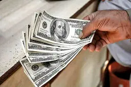 قیمت ارز در صرافی ملی امروز ۹۸/۰۲/۳۱|دلار ۵۰ تومان ارزان شد