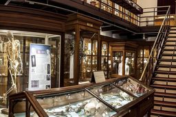 از جسد وحشتناک زن مرموز و کتاب‌هایی با پوست انسان تا جنین دو سر و کبد دوقلو / چندش‌آورترین موزه جهان را ببینید + تصاویر