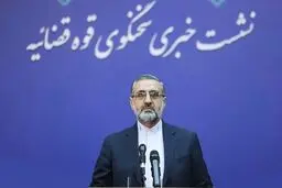 سخنگوی قوه قضاییه: هنوز کسی به عنوان متهم قتل همسر نجفی دستگیر نشده است