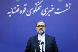 سخنگوی قوه قضاییه: هنوز کسی به عنوان متهم قتل همسر نجفی دستگیر نشده است