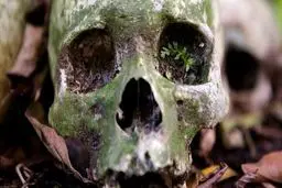 قبرستانی که مردگان آن دفن نمی‌شوند + تصاویر (۱۲+)