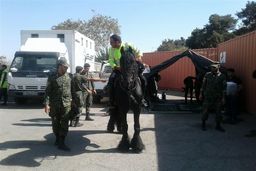 حاشیه دربی ۸۸/ دستگیری دو دختر/ حضور پلیس اسب‌سوار + عکس