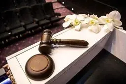 ۱۲ هزار پوند برای چند تار مو! + عکس