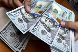 قیمت ارز در صرافی ملی امروز ۹۸/۰۳/۲۷| دلار ۳۰۰ تومان بالا رفت