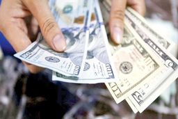 چرا حرف‌های وزیر اقتصاد دلار را ارزان کرد؟