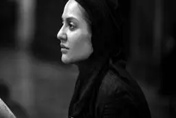 وکیل طلبه مازندرانی: همچنان منتظریم مهناز افشار بازگردد