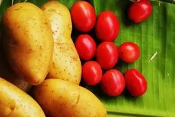 کاهش قیمت گوجه و سیب زمینی
