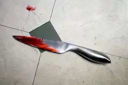 قتل بخاطر سروصدا