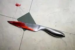قتل بخاطر سروصدا