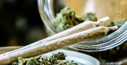 باند توزیع «گُل» در اینستاگرام