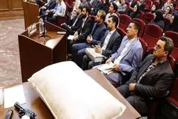 ماجرای حضور نجفی در قم پس از قتل میترا استاد