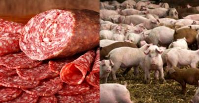 ماجرای فروش کالباس خوک در مشهد + سند