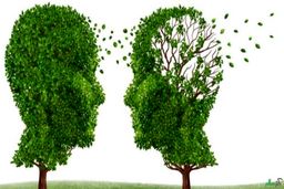 ۱۰ علامت هشداردهنده آلزایمر