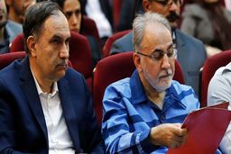 واکاوی ادعای جدید در قتل میترا استاد