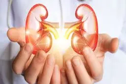 چند توصیه برای مراقبت از کلیه‌ها
