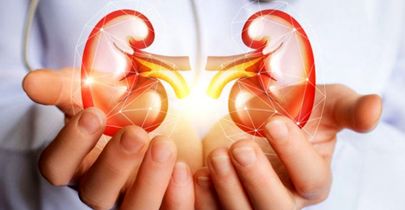 چند توصیه برای مراقبت از کلیه‌ها