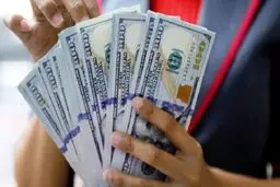 پیش‌بینی دلالان از قیمت ارز در روزهای آینده