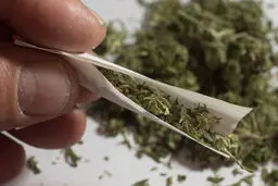 به جای حشیش، کاکائو مصرف کنید!