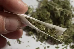 به جای حشیش، کاکائو مصرف کنید!