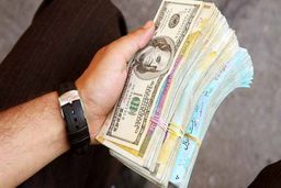 قیمت دلار و قیمت یورو در صرافی ملی امروز ۹۸/۰۴/۳۱| دلار ۱۱ هزار و ۹۰۰ تومان شد
