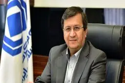همتی برنامه‌های آتی اقتصاد ایران را اعلام کرد