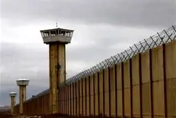 مرد همسرکش در زندان لیسانس حقوق گرفت!