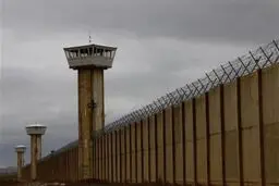مرد همسرکش در زندان لیسانس حقوق گرفت!