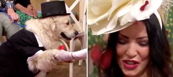 ازدواج زن بریتانیایی با سگش در برنامه زنده + تصاویر
