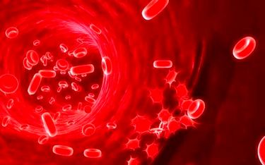 حقایقی درباره کم خونی