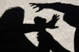 توهین عضو شورای عالی استان‌ها به خبرنگاران